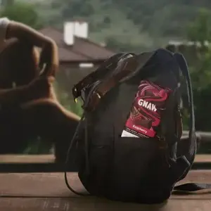 Gnaw Raspberry Dark 70% Chocolate Bar 80g